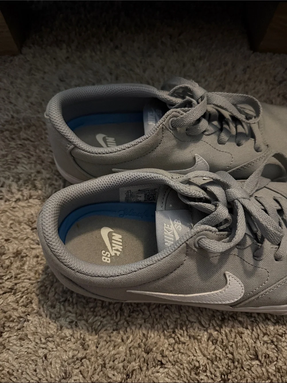 Nike Gray Canvas Low-Top Sneakers